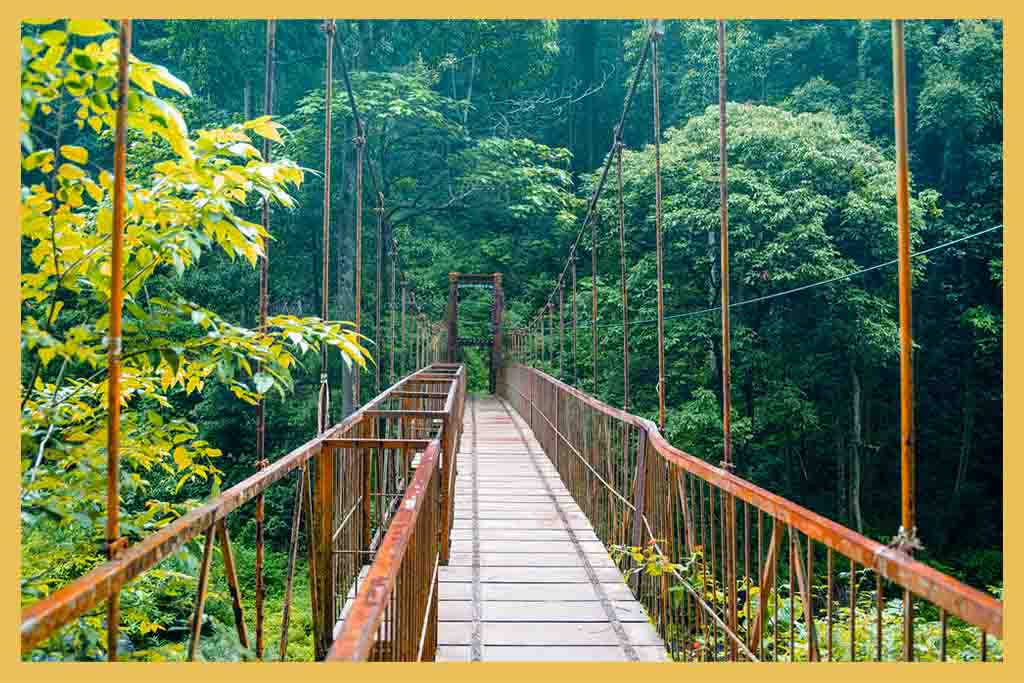 Coorg- honeymoon places in India